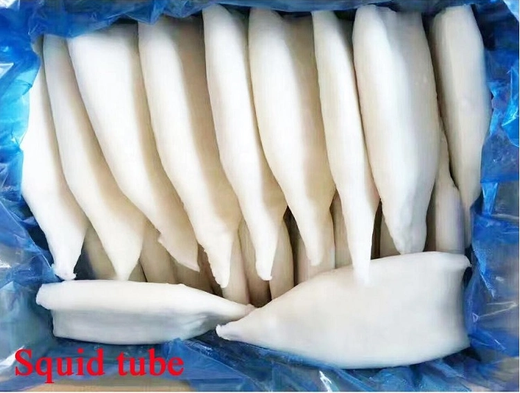 Hot Selling Frozen Squid with Vetetable String High Quality Health Seafood Lllex Giant Squid Product