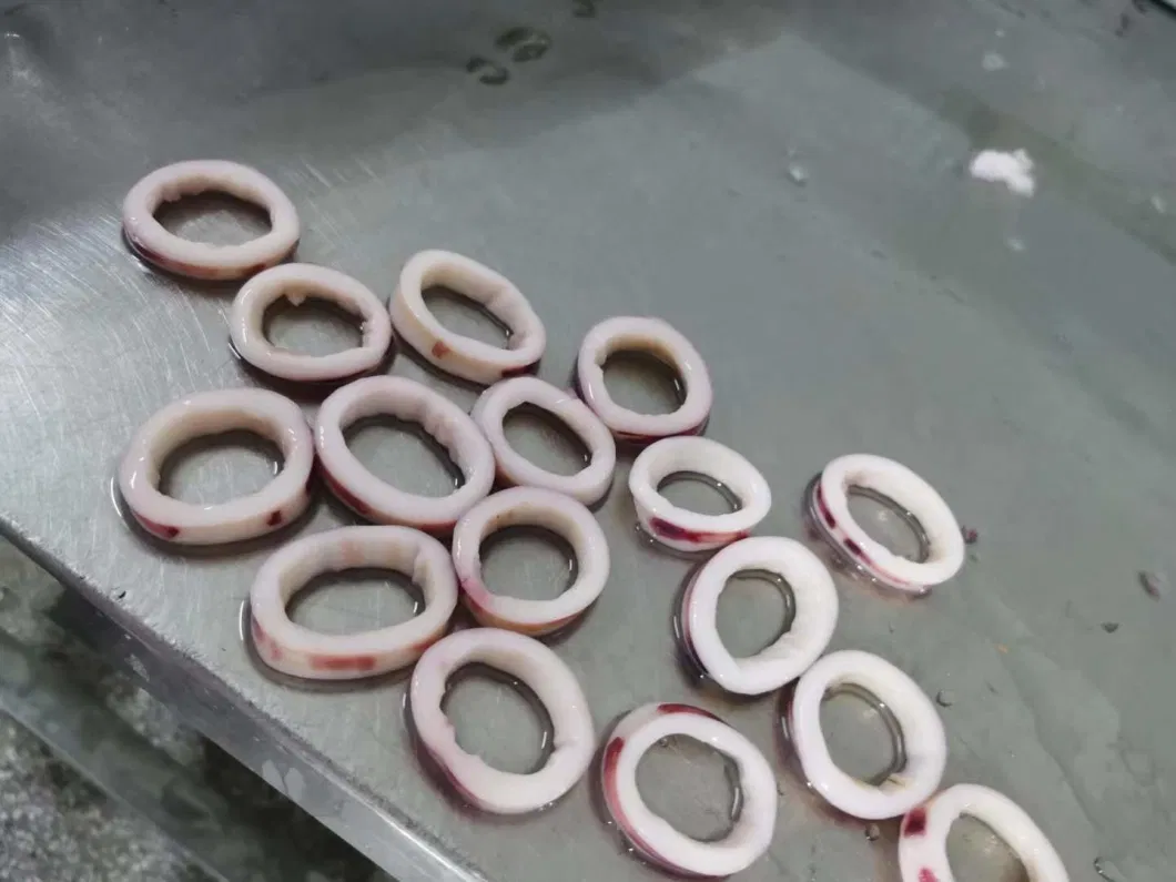 Squid Ring Squidsquid Beyond Ocean High Quality Frozen Squid Ring for Calamari Skin on