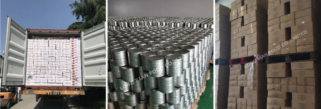 Wholesale Cheap Price 155g Sardine Canned in Tomato Sauce OEM