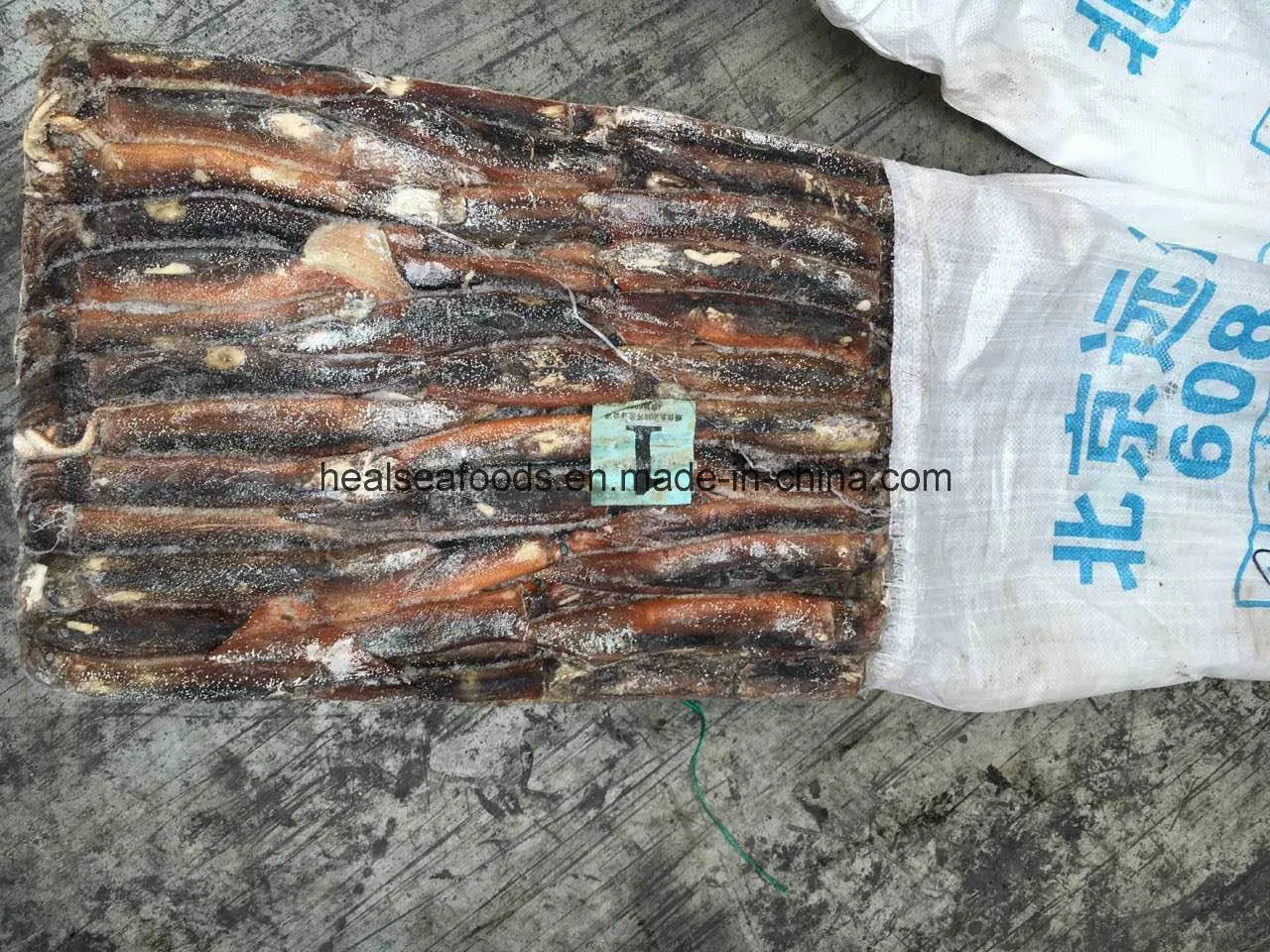 Frozen Illex Squid, Argentina Squid