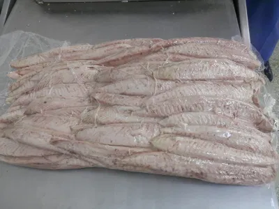 Frozen Precooked Sarda Tuna Loin, IQF