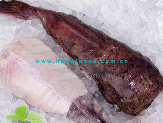Top Quality Seafish of Wild Caught Monkfish Tail Cut Manually