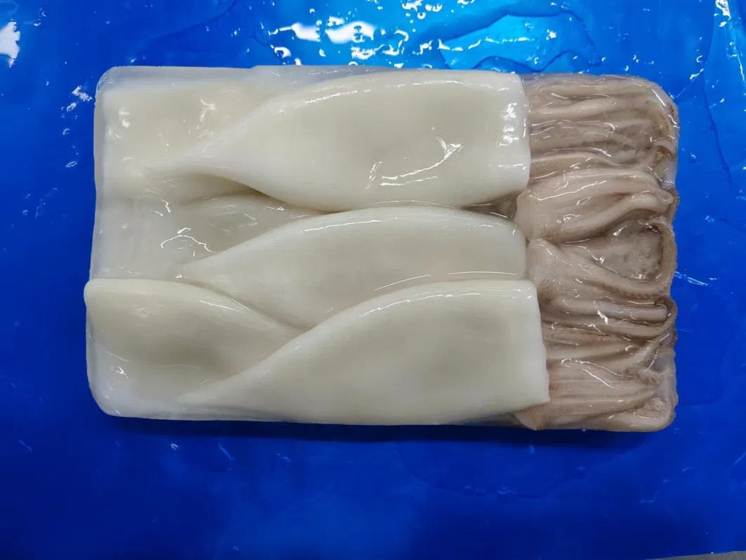 Frozen Squid T+T (Tube, Tentacle) /Calamari T+T/Calamar/Pota