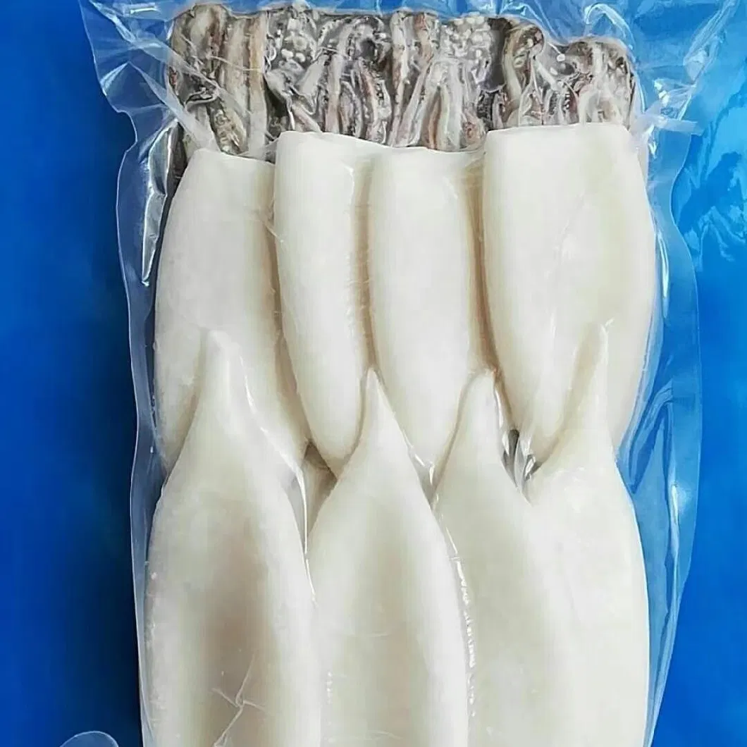 Frozen Squid/Calamari/Calamar T+T (tube+tentacle) Pota/Sotong