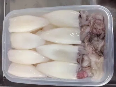 Frozen Squid/Calamari/Calamar T+T (tube+tentacle) Pota/Sotong